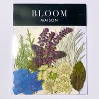 押し花｜花材セット  アフリカンバジル　Pressed Flower Kit インテボードリア・ギフト・ウェルカムなどのハンドメイドに　F-1165　BLOOM MAISON
