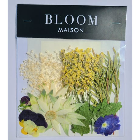 押し花｜花材セット  カスミソウプリザーブドフラワー Pressed Flower Kit インテリア・ギフト・ウェルカムボードなどのハンドメイドに　F-1118　BLOOM MAISON