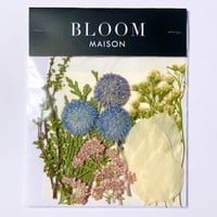 押し花｜花材セット  雪柳　Pressed Flower Kit インテボードリア・ギフト・ウェルカムなどのハンドメイドに　F-1169　BLOOM MAISON