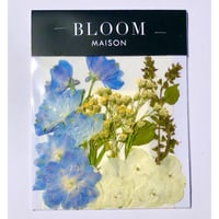 押し花｜花材セット  アジサイ　Pressed Flower Kit インテボードリア・ギフト・ウェルカムなどのハンドメイドに　F-1161　BLOOM MAISON