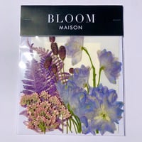 押し花｜花材セット  ワレモコウ　Pressed Flower Kit インテボードリア・ギフト・ウェルカムなどのハンドメイドに　F-1167　BLOOM MAISON