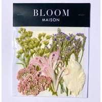 押し花｜花材セット  ネリネ  Pressed Flower Kit インテリア・ギフト・ウェルカムボードなどのハンドメイドに　F-1137　BLOOM MAISON