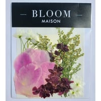 押し花｜花材セット ソリダコ Pressed Flower Kit インテリア・ギフト・ウェルカムボードなどのハンドメイドに　F-1092　BLOOM MAISON