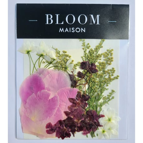 押し花｜花材セット ソリダコ Pressed Flower Kit インテリア・ギフト・ウェルカムボードなどのハンドメイドに　F-1092　BLOOM MAISON