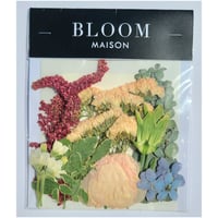 押し花｜花材セット  コロニラ  Pressed Flower Kit インテリア・ギフト・ウェルカムボードなどのハンドメイドに　F-1129　BLOOM MAISON