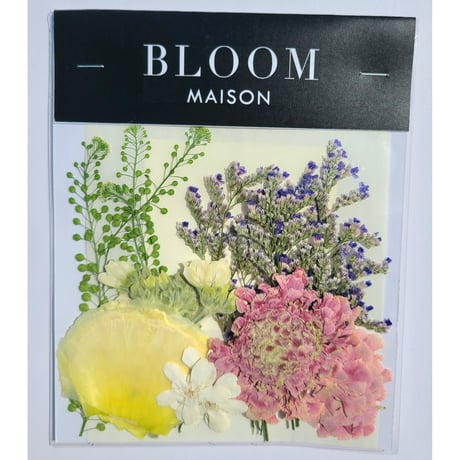 押し花｜花材セット スカビオサ Pressed Flower Kit インテリア・ギフト・ウェルカムボードなどのハンドメイドに　F-1104　BLOOM MAISON