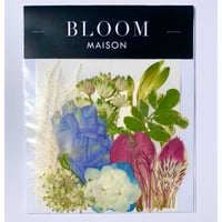 押し花｜花材セット  アジサイ  Pressed Flower Kit インテリア・ギフト・ウェルカムボードなどのハンドメイドに　F-1138　BLOOM MAISON