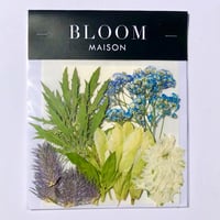 押し花｜花材セット  リンドウ　Pressed Flower Kit インテボードリア・ギフト・ウェルカムなどのハンドメイドに　F-1180　BLOOM MAISON