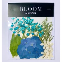 押し花｜花材セット  ブルーアイス　Pressed Flower Kit インテボードリア・ギフト・ウェルカムなどのハンドメイドに　F-1168　BLOOM MAISON