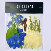 押し花｜花材セット  ワレモコウ　Pressed Flower Kit インテボードリア・ギフト・ウェルカムなどのハンドメイドに　F-1154　BLOOM MAISON