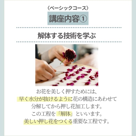 【お申込み申請】2026年開講｜PFAP認定アーティスト講座ベーシックコース