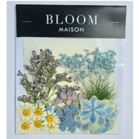 押し花｜花材セット マトリカリア Pressed Flower Kit インテリア・ギフト・ウェルカムボードなどのハンドメイドに　F-1109　BLOOM MAISON