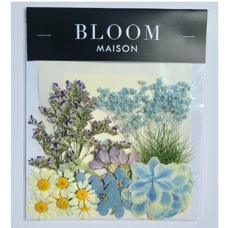 押し花｜花材セット マトリカリア Pressed Flower Kit インテリア・ギフト・ウェルカムボードなどのハンドメイドに　F-1109　BLOOM MAISON