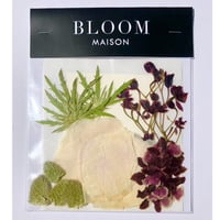 押し花｜花材セット  シャクヤク  Pressed Flower Kit インテリア・ギフト・ウェルカムボードなどのハンドメイドに　F-1134　BLOOM MAISON