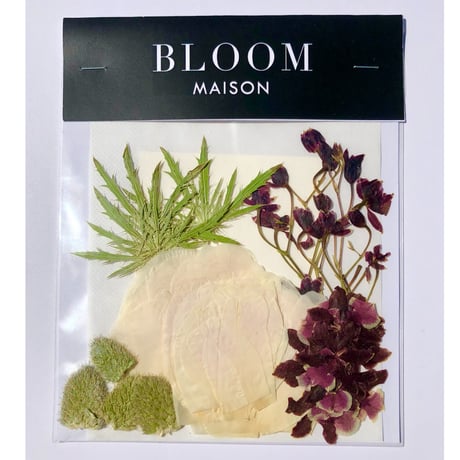 押し花｜花材セット  シャクヤク  Pressed Flower Kit インテリア・ギフト・ウェルカムボードなどのハンドメイドに　F-1134　BLOOM MAISON