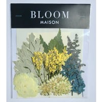 押し花｜花材セット リモニウム Pressed Flower Kit インテリア・ギフト・ウェルカムボードなどのハンドメイドに　F-1115　BLOOM MAISON