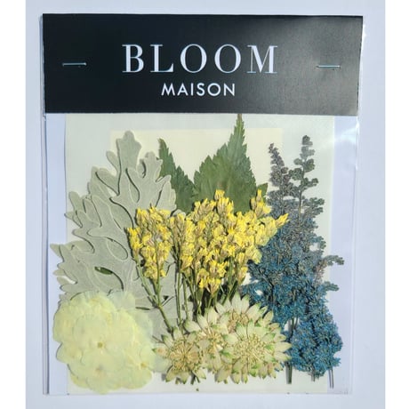 押し花｜花材セット リモニウム Pressed Flower Kit インテリア・ギフト・ウェルカムボードなどのハンドメイドに　F-1115　BLOOM MAISON