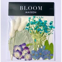 押し花｜花材セット  アジサイ  Pressed Flower Kit インテボードリア・ギフト・ウェルカムなどのハンドメイドに　F-1144　BLOOM MAISON