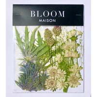 押し花｜花材セット  エリンジューム Pressed Flower Kit インテボードリア・ギフト・ウェルカムなどのハンドメイドに　F-1153　BLOOM MAISON