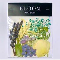 押し花｜花材セット  リコリス　Pressed Flower Kit インテボードリア・ギフト・ウェルカムなどのハンドメイドに　F-1160　BLOOM MAISON