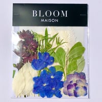 押し花｜花材セット  ロシアンオリーブ  Pressed Flower Kit インテボードリア・ギフト・ウェルカムなどのハンドメイドに　F-1148　BLOOM MAISON