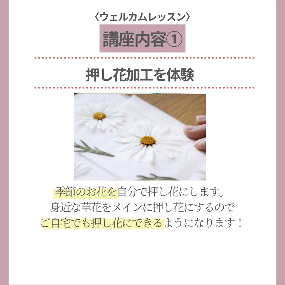 6a88e17c2dbf2b3462363223