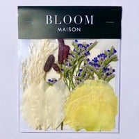 押し花｜花材セット  ワレモコウ　Pressed Flower Kit インテボードリア・ギフト・ウェルカムなどのハンドメイドに　F-1196　BLOOM MAISON