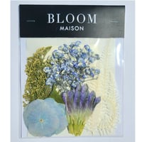 押し花｜花材セット アジサイ Pressed Flower Kit インテリア・ギフト・ウェルカムボードなどのハンドメイドに　F-1114　BLOOM MAISON