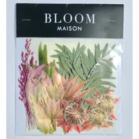 押し花｜花材セット  セルリア  Pressed Flower Kit インテリア・ギフト・ウェルカムボードなどのハンドメイドに　F-1128　BLOOM MAISON
