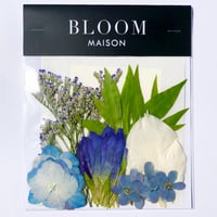 押し花｜花材セット  リンドウ  Pressed Flower Kit インテリア・ギフト・ウェルカムボードなどのハンドメイドに　F-1141　BLOOM MAISON