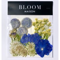 押し花｜花材セット  ルリ玉アザミ  Pressed Flower Kit インテリア・ギフト・ウェルカムボードなどのハンドメイドに　F-1136　BLOOM MAISON