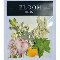 押し花｜花材セット  アルストロメリア Pressed Flower Kit インテリア・ギフト・ウェルカムボードなどのハンドメイドに　F-1120　BLOOM MAISON