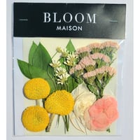 押し花｜花材セット  ルナリア  Pressed Flower Kit インテリア・ギフト・ウェルカムボードなどのハンドメイドに　F-1125　BLOOM MAISON