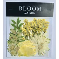 押し花｜花材セット トルコキキョウ Pressed Flower Kit インテリア・ギフト・ウェルカムボードなどのハンドメイドに　F-1108　BLOOM MAISON