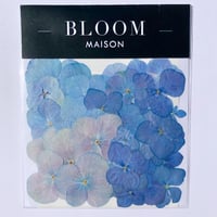 押し花｜花材セット  アジサイ  Pressed Flower Kit インテリア・ギフト・ウェルカムボードなどのハンドメイドに　F-1132　BLOOM MAISON
