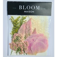 押し花｜花材セット ライスフラワー Pressed Flower Kit インテリア・ギフト・ウェルカムボードなどのハンドメイドに　F-1101　BLOOM MAISON