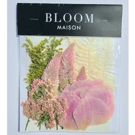 押し花｜花材セット ライスフラワー Pressed Flower Kit インテリア・ギフト・ウェルカムボードなどのハンドメイドに　F-1101　BLOOM MAISON