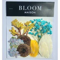 押し花｜花材セット ヒマワリ Pressed Flower Kit インテリア・ギフト・ウェルカムボードなどのハンドメイドに　F-1105　BLOOM MAISON