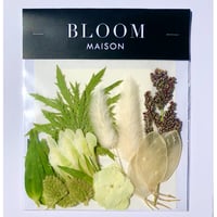 押し花｜花材セット  ルナリア  Pressed Flower Kit インテリア・ギフト・ウェルカムボードなどのハンドメイドに　F-1139　BLOOM MAISON