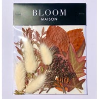 押し花｜花材セット 　アイビー　Pressed Flower Kit インテボードリア・ギフト・ウェルカムなどのハンドメイドに　F-1219　BLOOM MAISON