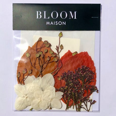 押し花｜花材セット  シキミア　Pressed Flower Kit インテボードリア・ギフト・ウェルカムなどのハンドメイドに　F-1212　BLOOM MAISON