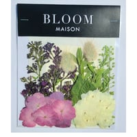 押し花｜花材セット  ライラック  Pressed Flower Kit インテリア・ギフト・ウェルカムボードなどのハンドメイドに　F-1124　BLOOM MAISON