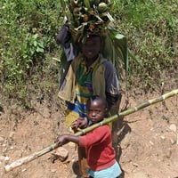 【中煎り】Rwanda