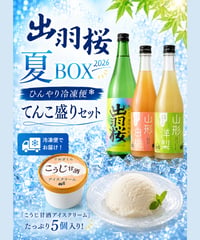 夏BOX【ひんやり冷凍便てんこ盛りセット】