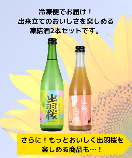 夏BOX【ひんやり冷凍便セット】