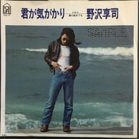 野沢享司 / 君が気がかり