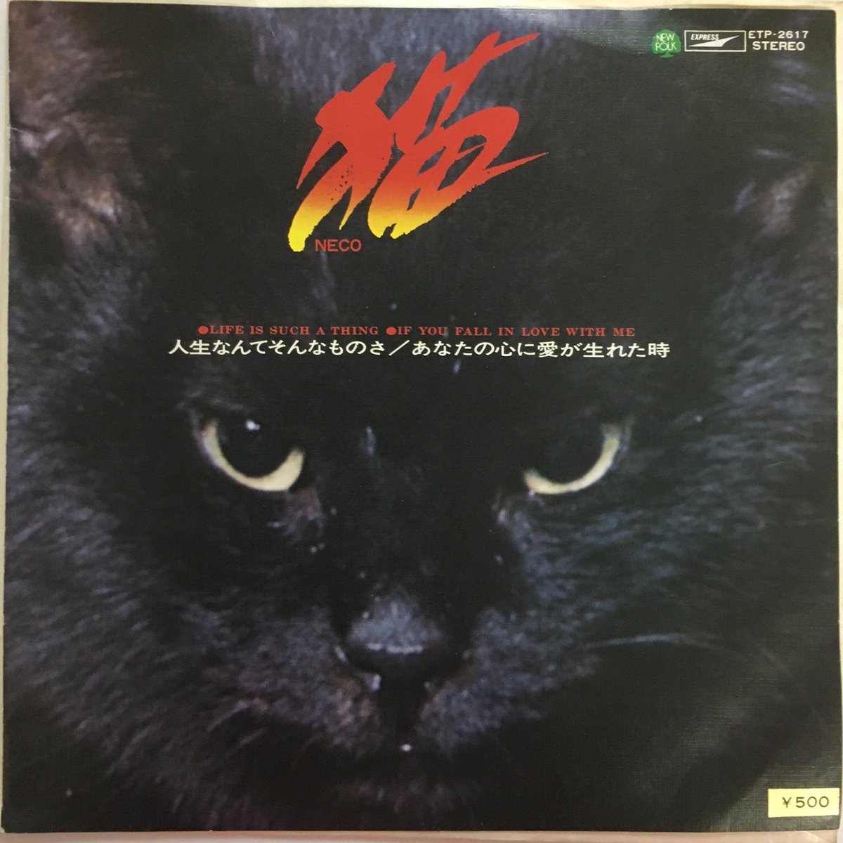 猫 / 人生なんてそんなものさ | ACTION TIME VISION