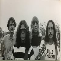 BOLD CHICKEN / A Fellow's Lament