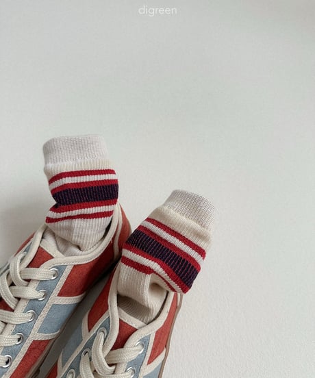 51[予約]digreen authentic socks