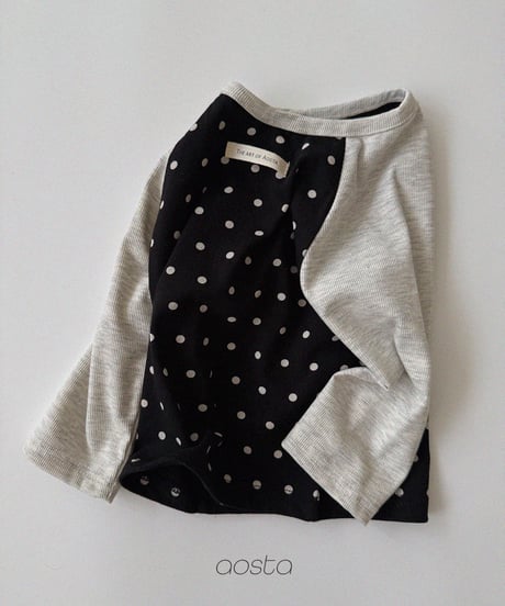 11[予約]Aosta dot raglan t